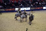 Quadrille - 00807